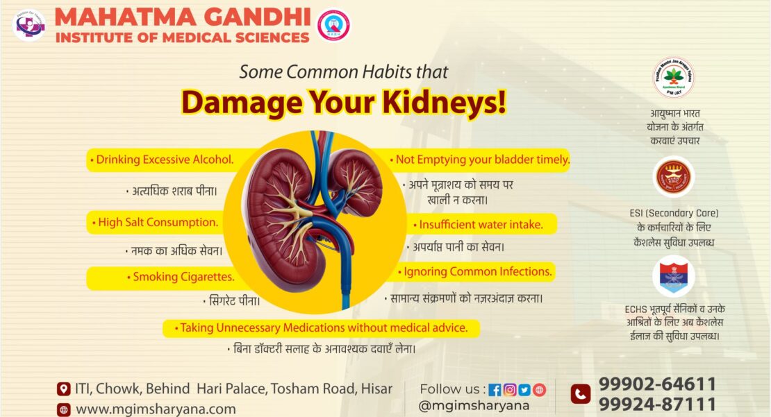 29 1110x601 - किडनी की सुरक्षा, स्वस्थ जीवन की गारंटी : MGIMS, Hisar-kidney-महत्मा_गांधी_इंस्टीट्यूट, किडनी_इलाज, Nephrology, MedicalTreatment, KidneyHealth, HealthyLiving, HealthCare