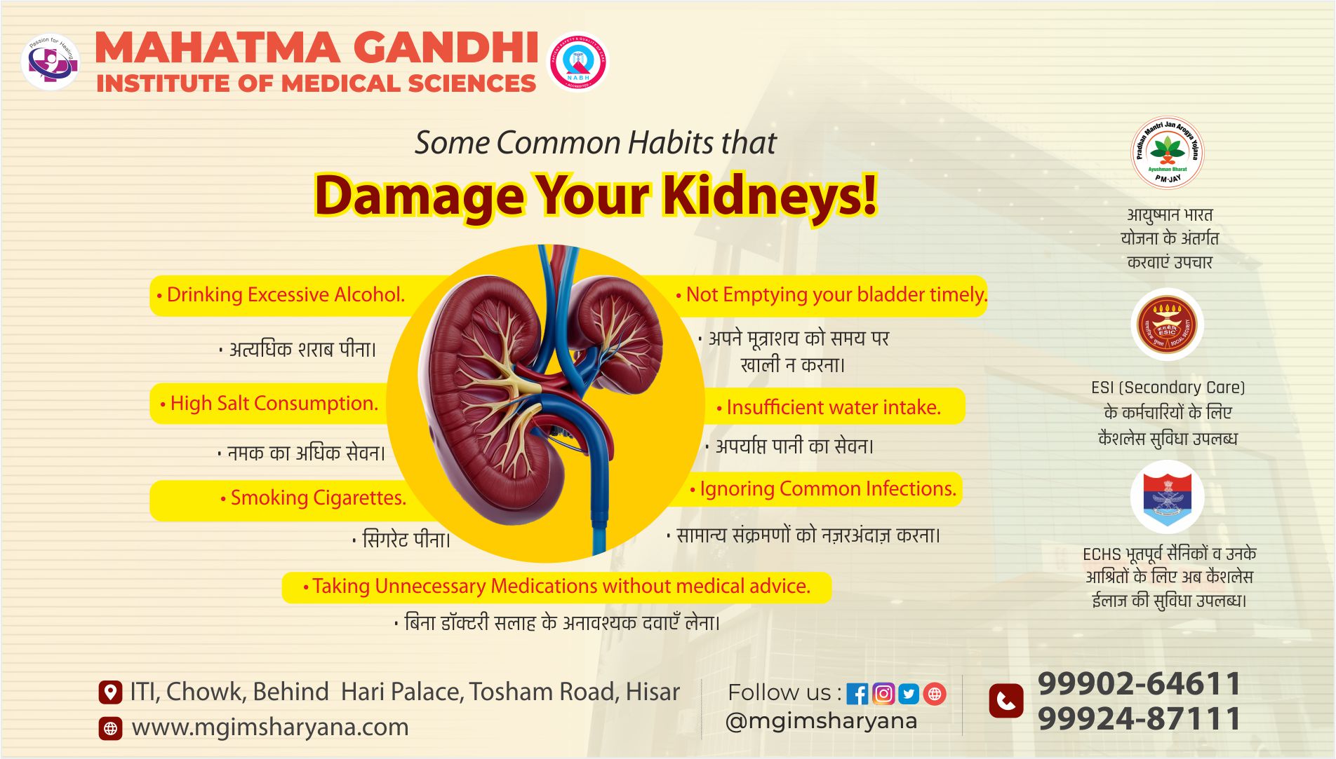 29 - किडनी की सुरक्षा, स्वस्थ जीवन की गारंटी : MGIMS, Hisar-kidney-महत्मा_गांधी_इंस्टीट्यूट, किडनी_इलाज, Nephrology, MedicalTreatment, KidneyHealth, HealthyLiving, HealthCare